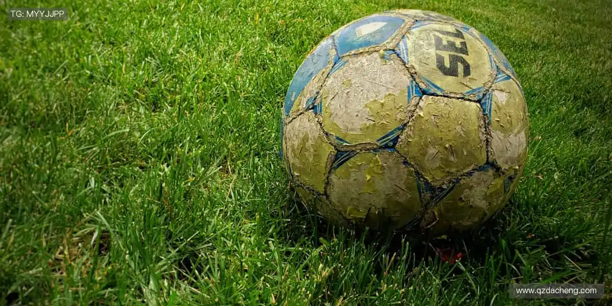 🔴实时互动，弹幕刷屏点燃观赛热情！